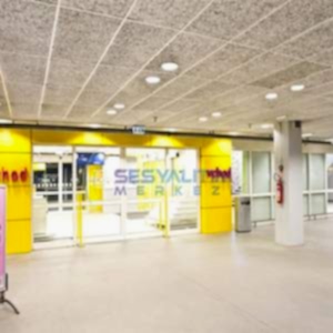 Ahşap Akustik Panel